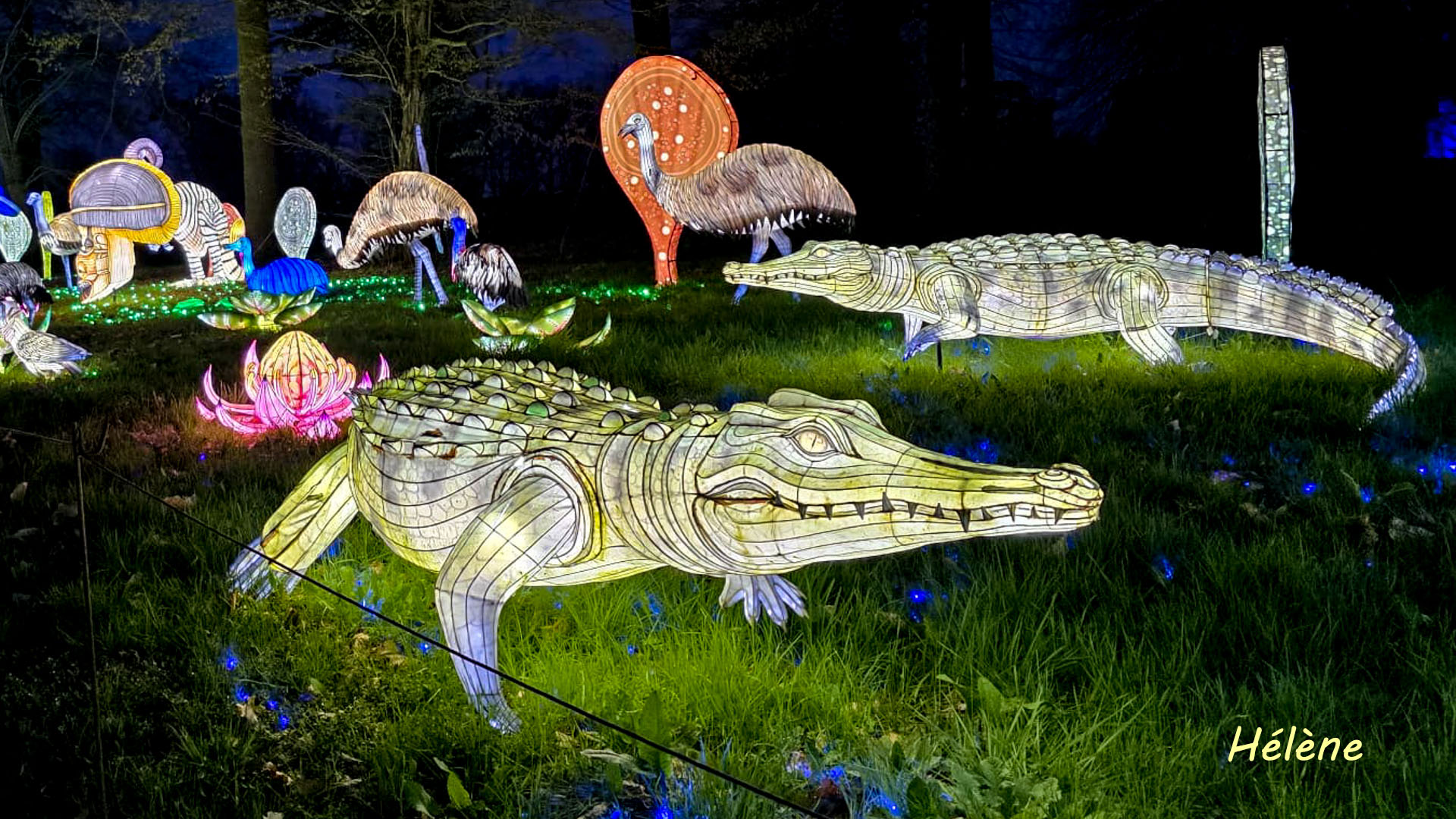 THOIRY -Illumination ,  Lumières sauvages 2025-2026